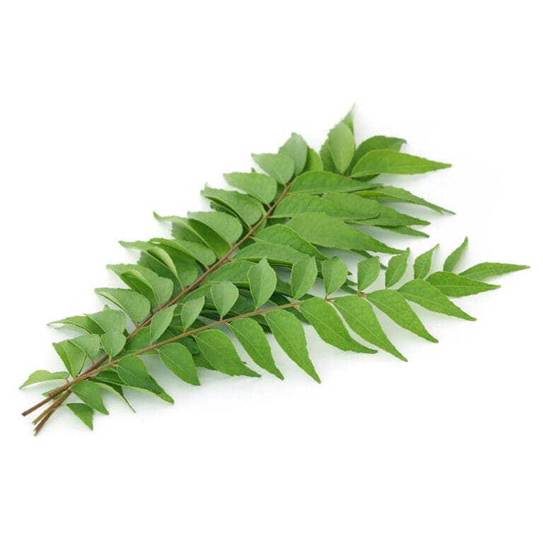 sm curry leaves