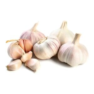 sm garlic