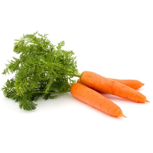 sm carrots standard